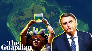 Bolsonaro's war on the Amazon: examining evidence of crimes against Indigenous people