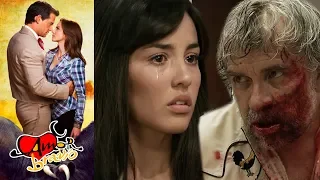 Amor Bravío: Andrés descubre que Leoncio es el agresor de Luzma | Escena - C26