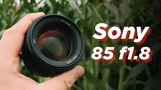 Обзор на объектив Sony 85mm f1.8