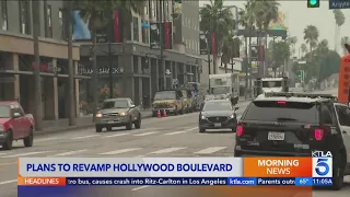 Walking the Hollywood Walk of Fame may soon get easier