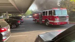South Santa Rosa vehicle fire
