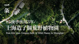 【EngSub】Post-85s Man Spends 3 Years Creating a Park of Wild Plants in Shanghai 85後小伙用3年，在上海造了個荒野植物園