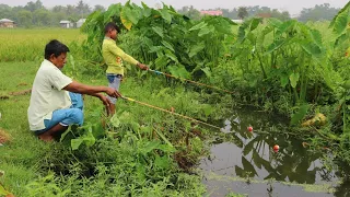 Fishing ✅️||Big fish are being caught in village canal with hook and small fish bait ||Hook fishing