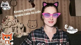 Сказки на ночь. Кошка, которая гуляла сама по себе.