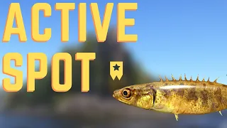 Trophy Small Southern Stickleback Spot | Akhtuba | June 19, 2022