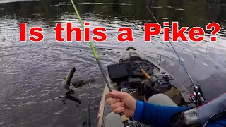 Pike on a FROG!