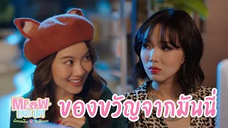 ของขวัญจากมันนี่ | HIGHLIGHT EP.7 | Meow Ears Up น้องเหมียวในห้องผม