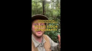 Oldgrowth vs Secondgrowth: Forest Floor Topography