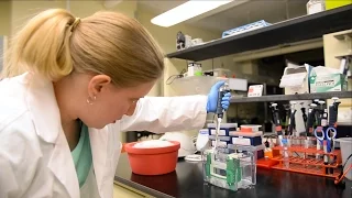 Meet Jessica Burket, Biomedical Sciences PhD Student