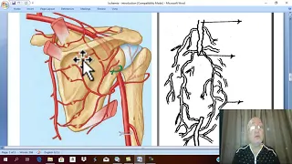 Peripheral Arterial diseases 1 ( introduction ) , by  Dr. Wahdan