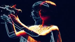 björk : nameless (storm) (live @ arena di verona 2003)