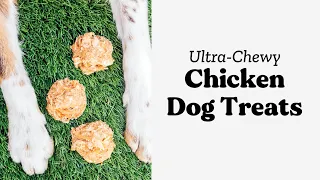 Chewy Chicken Dog Treats Recipe