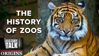 Caged: Humans and Animals at the Zoo (a History Talk podcast)