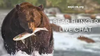 Hungry Like a Bear | Brooks Live Chat