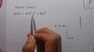 Primer Caso de Factorización: Factor Común. Ejercicio 1