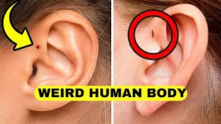 Incredible And Bizarre Human Body Facts You Won't Believe!