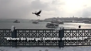 Where do you go, fantastic dreambird? // Yellow Raven - SCORPIONS (with lyrics)