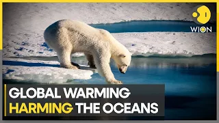 Antarctica ocean currents heading for collapse | Latest English News | WION