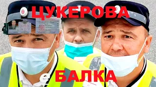 Цукерова е балка