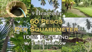 16A-283 Magandang Farmlot | 100% Flatland | 9 Hectares | With fruitbearings | With source of water |