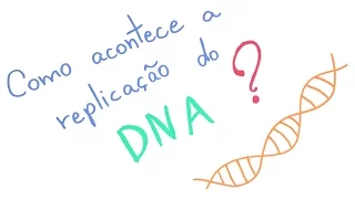 Como acontece a replicação do DNA?