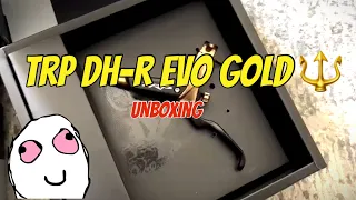 TRP DH-R EVO GOLD for eBIKE / DH Brakes 🔱 | Unboxing | LodisBrothers