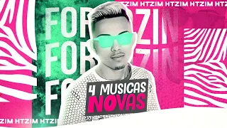 FORRÓZIN 4 MÚSICAS NOVAS - DJ HTZIM