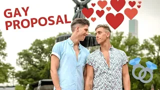 Gay Proposal