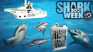 SHARK WEEK!  Toy Review  NEW 2018 JAWS Research Boat & Cage Playset