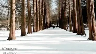 Winter Sonata Richard-Clayderman