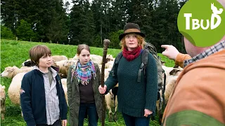 Schafskälte (Folge 4) | Tiere bis unters Dach | SWR Plus