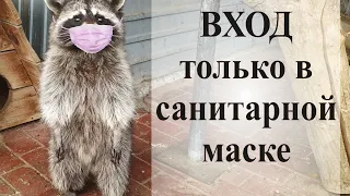 Самарский зоопарк в масочный режим. Samara Zoo in mask mode