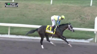 RACE REPLAY: 2017 Florida Derby Featuring Always Dreaming