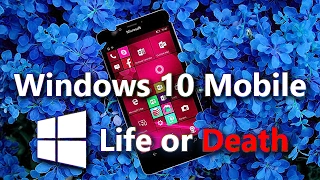Windows 10 Mobile мертва?