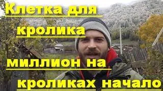 Миллион на кроликах.  С чего начать