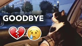 I Сame Back To Say Goodbye...