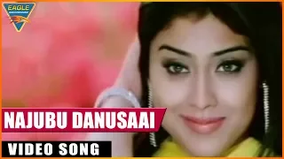 Main Hoon Gambler Hindi Dubbed Movie || Najubu Danusaai Video Song || Eagle Entertainment Official