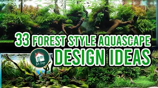 33 Wonderful Forest Style Aquascape Design Ideas