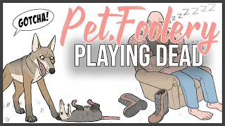 Playing Dead to scare off Predators! - Funny Animal Comics | Pet_Foolery Comic Dub