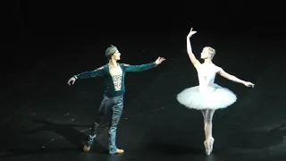 04/10/19 Vorontsova Zaytsev Nikia Solor La Bayadere Act III / 1