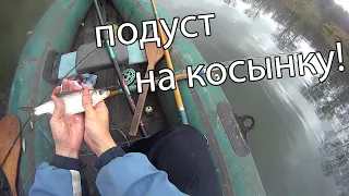 Как рыбачить на косынку правильно! Ловля подуста или подуса!