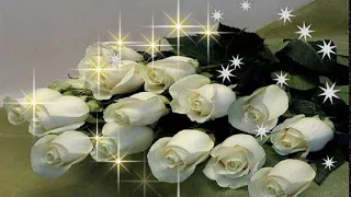 футаж белые розы любви