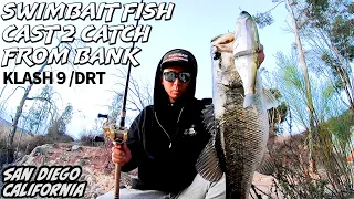 KLASH 9 [DRT] Winter Swimbait fish Cast to Catch from bank/San Diego Southern California