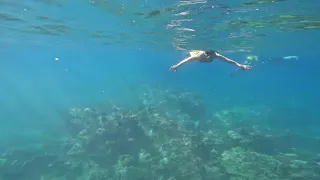 Molokini Part3