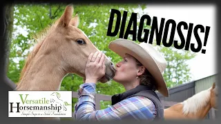 We Have A Diagnosis! // Versatile Horsemanship