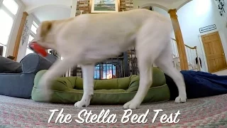 The Stella Bed Test