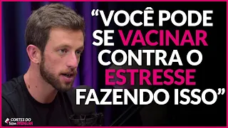 ESTRESSES PODEM FUNCIONAR COMO UMA VACINA, SEGUNDO A NEUROCIÊNCIA