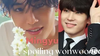 Mingyu  spoiling 🤣 wonwoo, I want someone like him....tooo 🫂💎 #seventeen