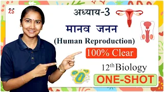 अध्याय-3, मानव जनन One Shot | Human Reproduction Oneshot | 12th Biology ONE-SHOT