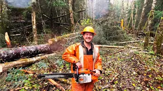 Logging with Sterling  - Our First Day Tractor Logging  -  Second Growth Spruce Fall, Limb, and Yard